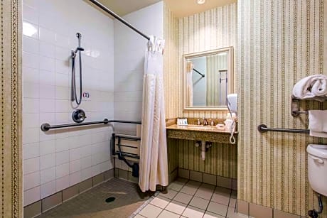 1 King Mobility/Hearing Access W/ R-In Shower