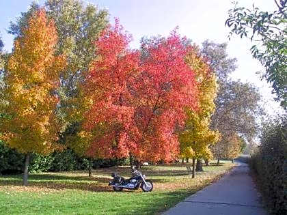 Da Santo Hotel Ristorante Pizzeria