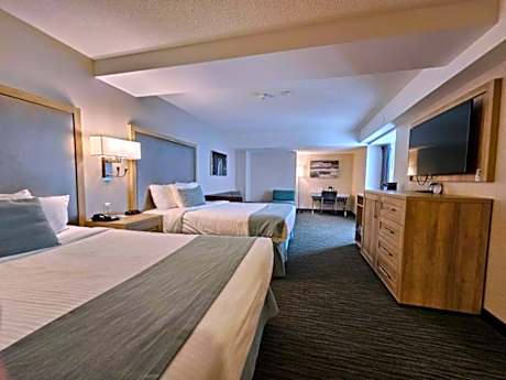Studio Guest room, 2 Queen Beds & Sofa Bed