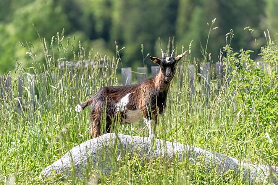 Der Ortnerhof - Hotel & Reiterhof