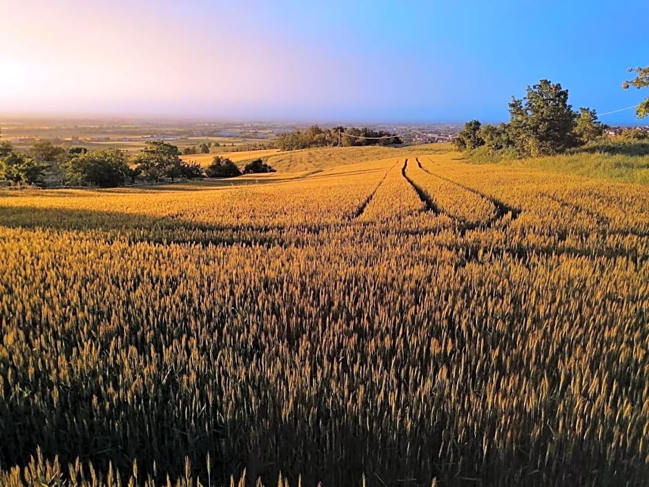 la Mafalda in Oltrepo