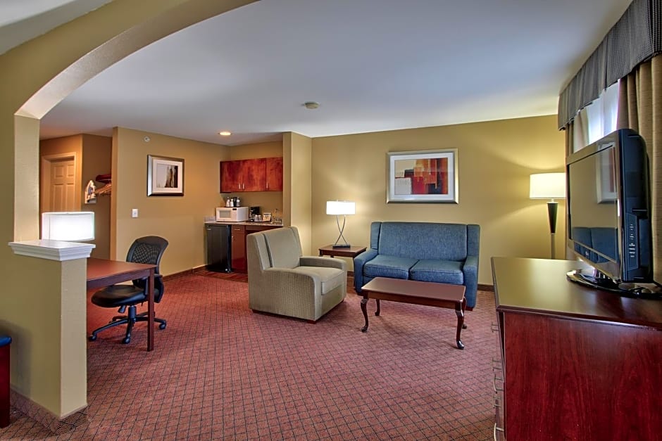 Holiday Inn Express Hotel & Suites Houston-Downtown Convention Center By IHG