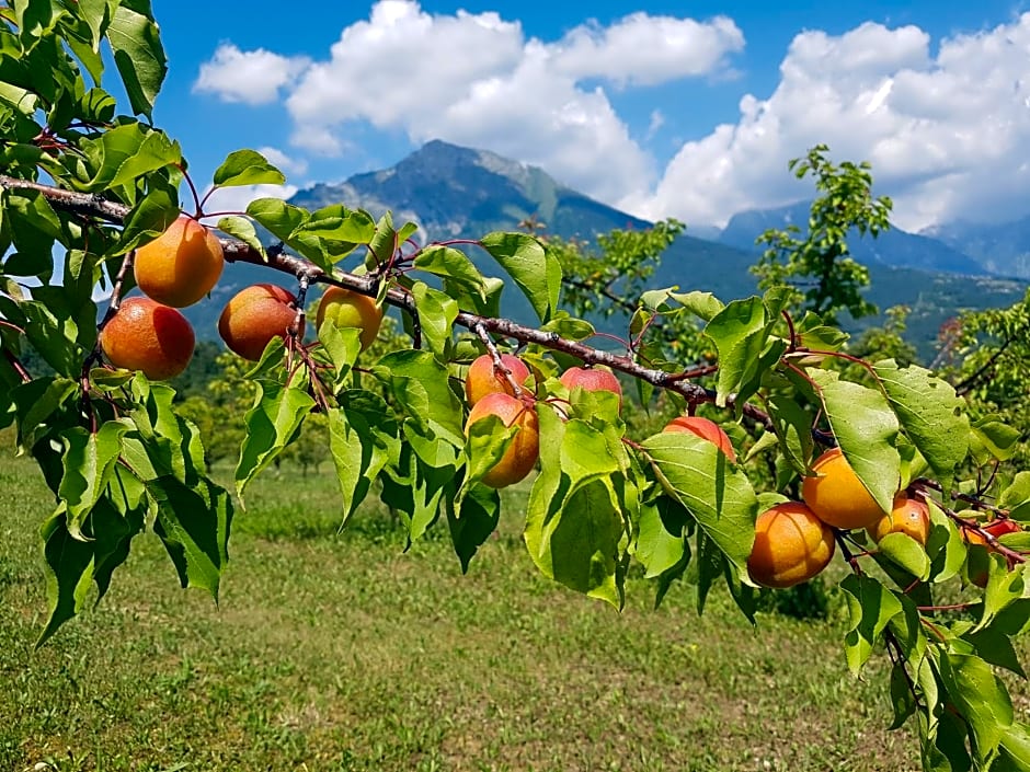 AGRITURISMO La Giasena