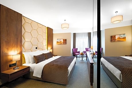 Special Offer - Superior Double Room with SPA Access