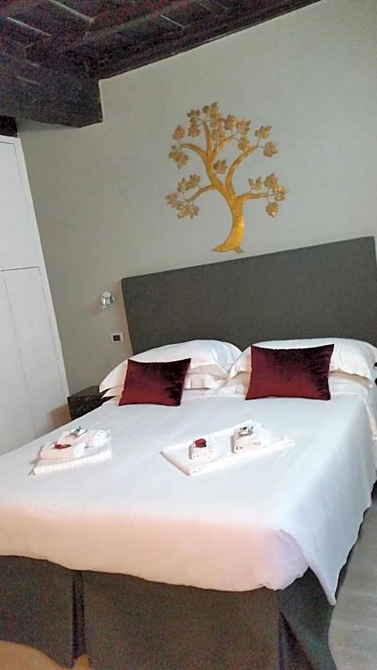 Navona First Rooms