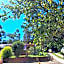 Hostel Yellow House MG