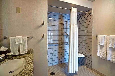1 King Mobility Hearing Accessible Roll In Shower Suite Non-Smoking