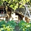 Arcobaleno B&B