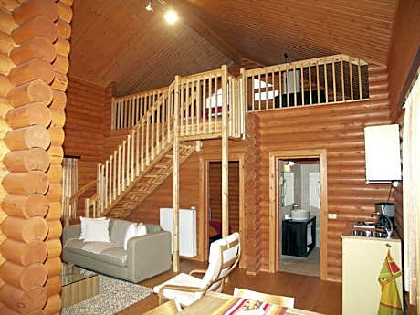 Chalet (4 Adults) with Fireplace - Attic