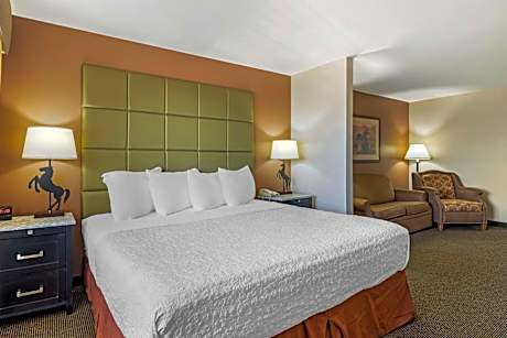 1 King Bed, Non-Smoking, High Speed Internet Access, Microwave And Refrigerator, Balcony, Full Break