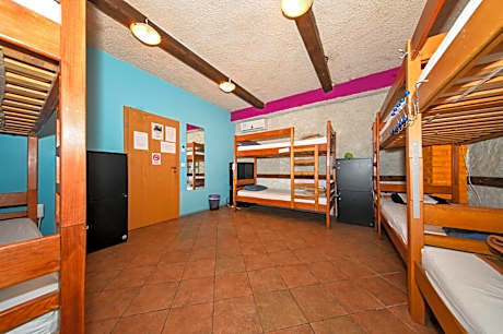 Bed in 8-Bed Mixed Dormitory Room