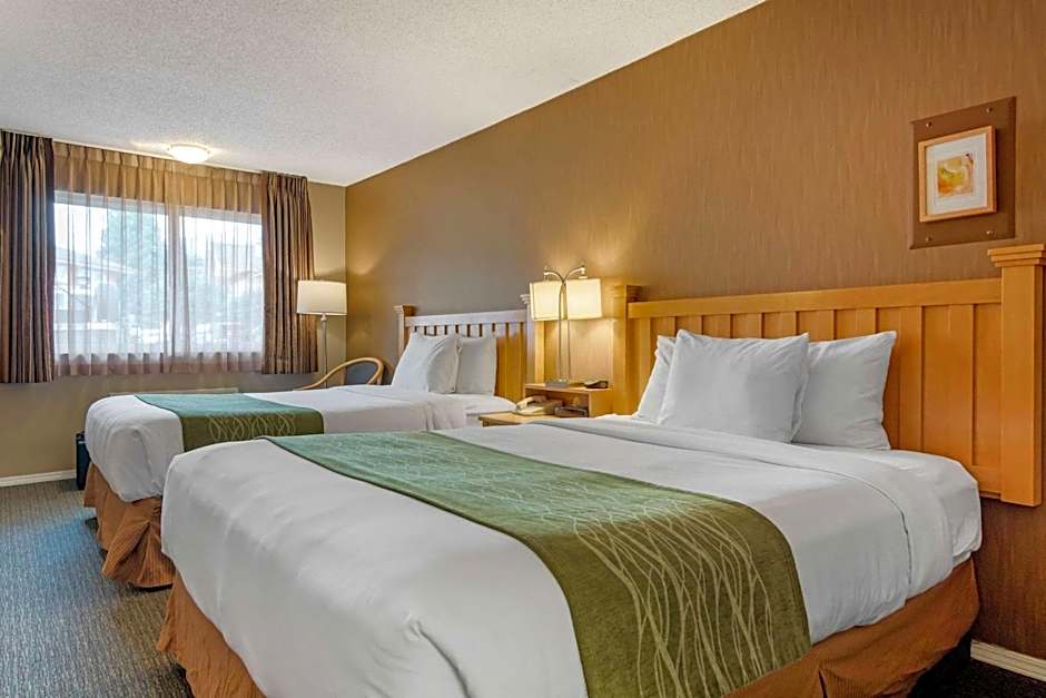Econo Lodge Inn & Suites
