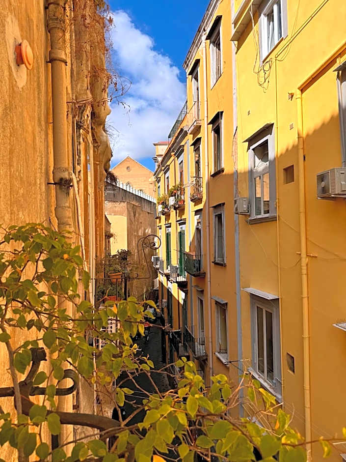 Lo Specchio dei Papiri