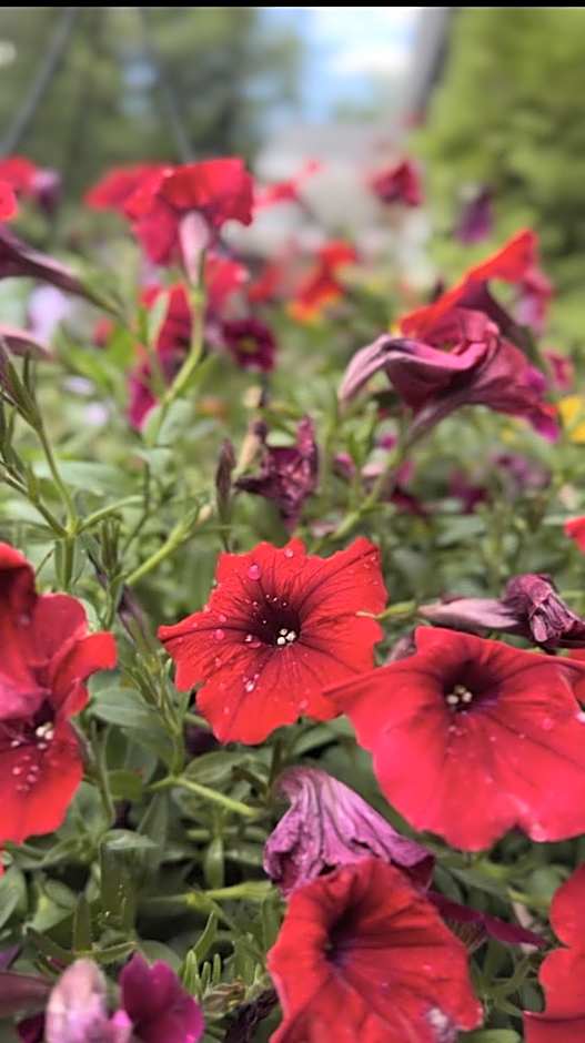 Hotel Civilia Lakeside by Civilia Golf Retreat