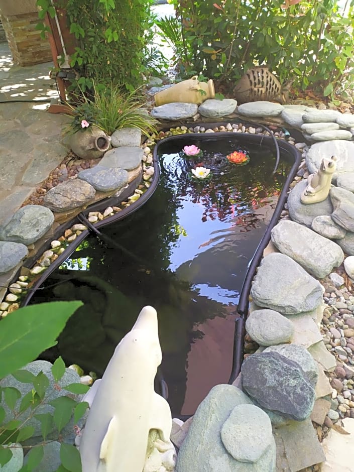 Patrimonio chambre avec commodités chez l’habitant