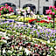 B&B La Vie En Roses