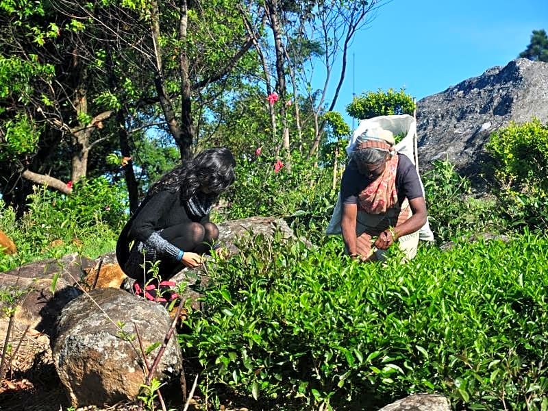 Clouds Holiday Bungalow