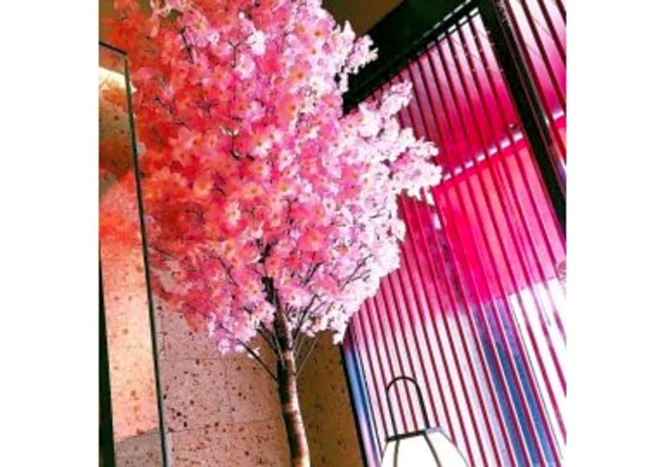 Sakura Sky Hotel - Vacation STAY 18442v