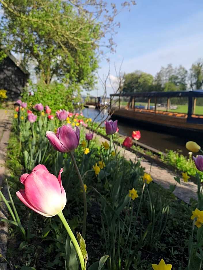 The Black Sheep Hostel