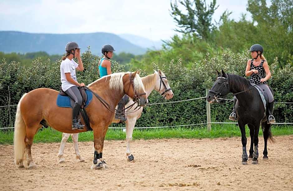 Hotel Cocoa - Vacation STAY 05776v