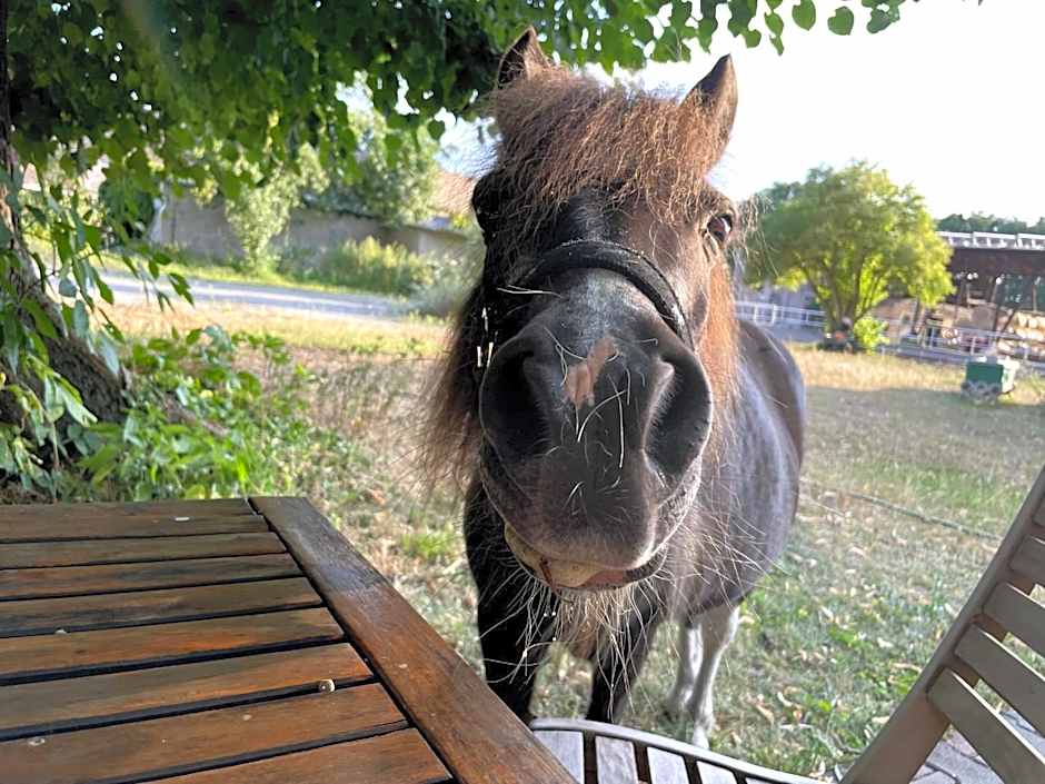 Eichenhof Hotel Garni