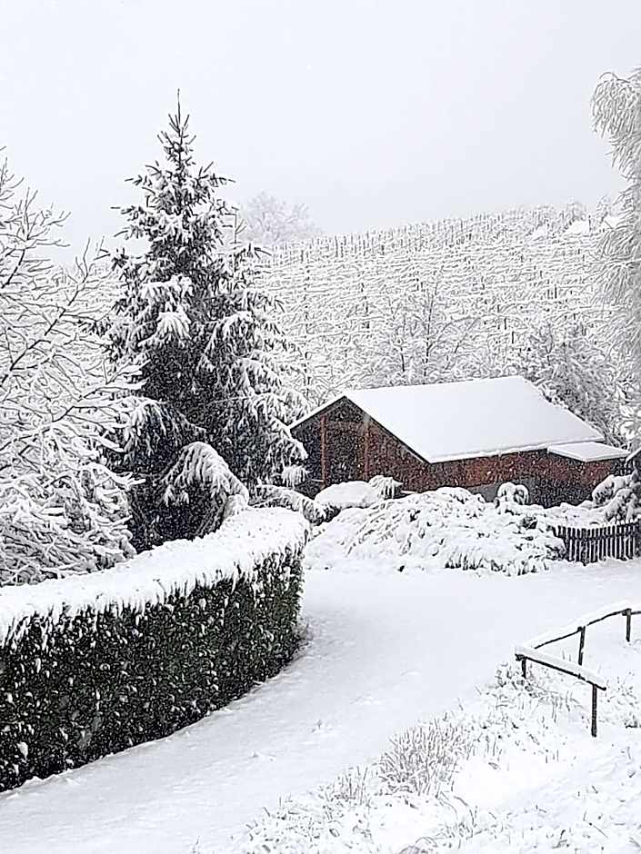 Valditerra Vini - B&B La Rombetta