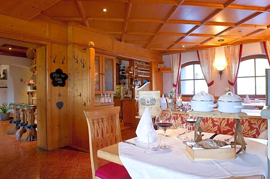 Hotel und Alpen Apartments mit Sauna - Bürglhöh