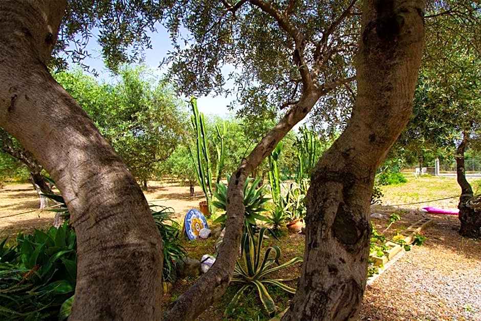 Medimare Residence Club