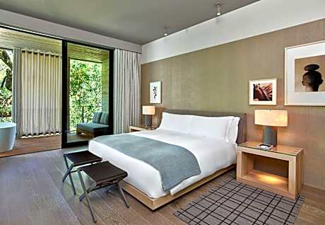 Streamside Suite with One King Bed