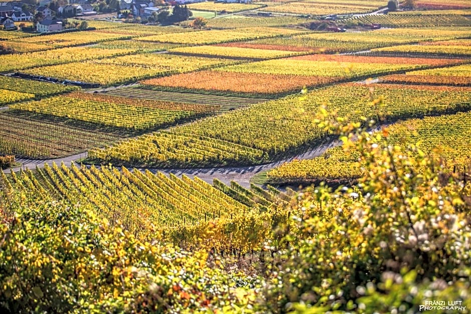 Rieslingquartier - Mosel Wein Hotel