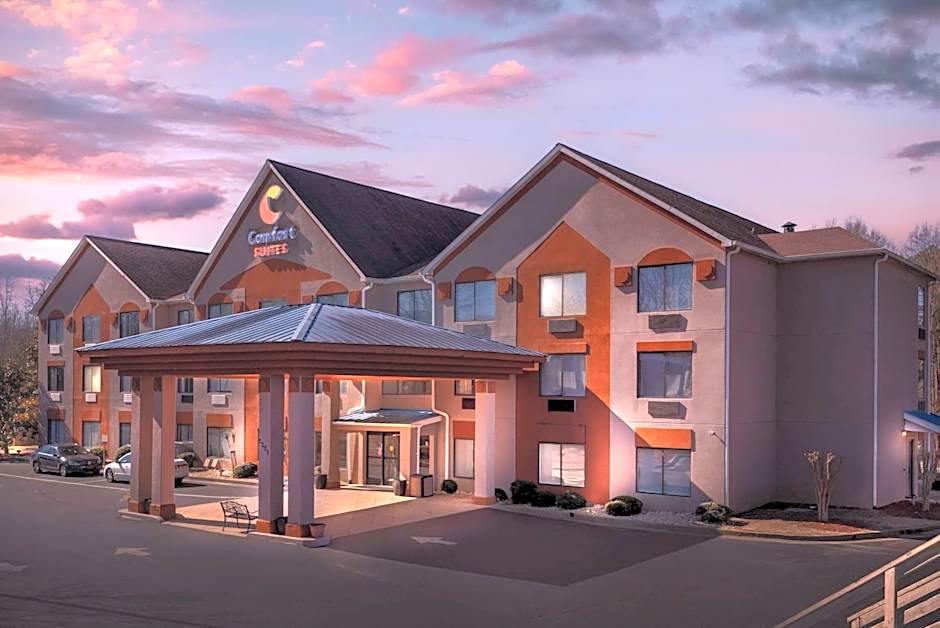 Comfort Suites Northside Hospital Gwinnett