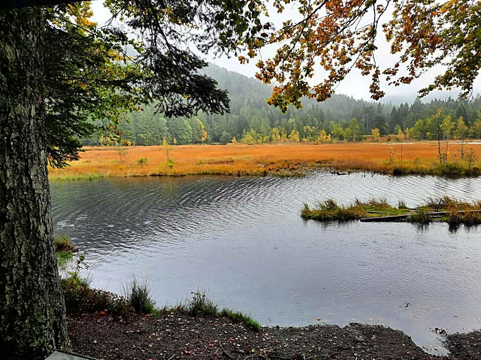 Au Cœur des Lacs - Chambres d'hôtes