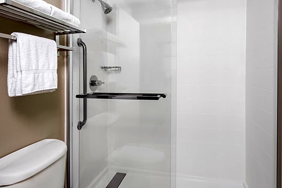 SpringHill Suites by Marriott Austin Round Rock