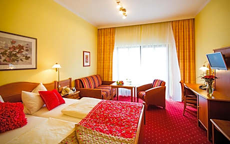 Single Room with Balcony