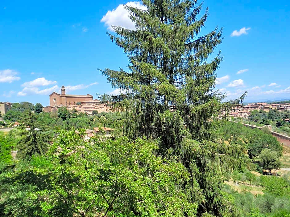 B&B Pantaneto - Palazzo Bulgarini