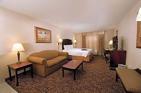 1 King Bed Studio Suite W/ Sofabed Nonsmoking