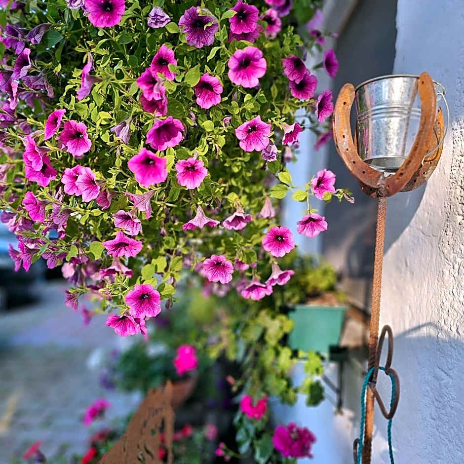 Der Blankhof "Back to Roots"