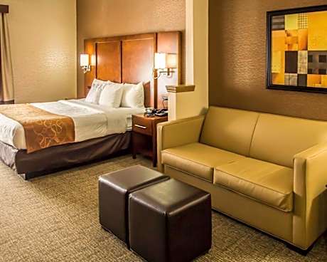 1 King Bed, Suite, Nonsmoking