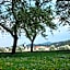 Gasthof Zur Linde