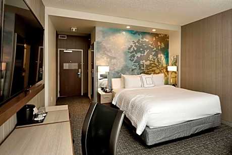 King Room with Sofa Bed and Roll-in Shower - Mobility and Hearing Accessible