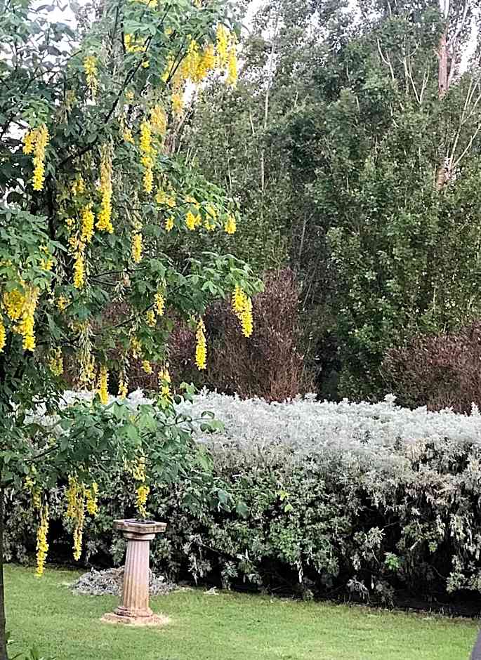 Pierrepoint Accommodation