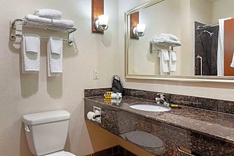 Junior King Suite with Sofa Bed - Non-Smoking