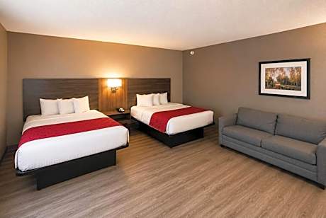 2 Queen Beds, Studio Suite, Non-Smoking