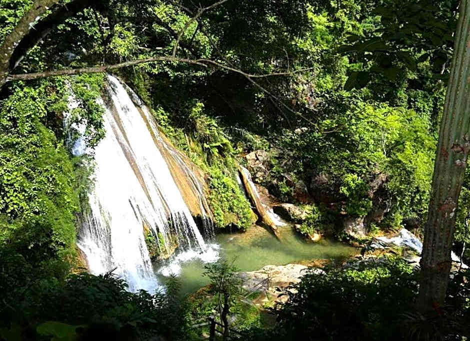 Reserva Ecologica Vive Copalitilla