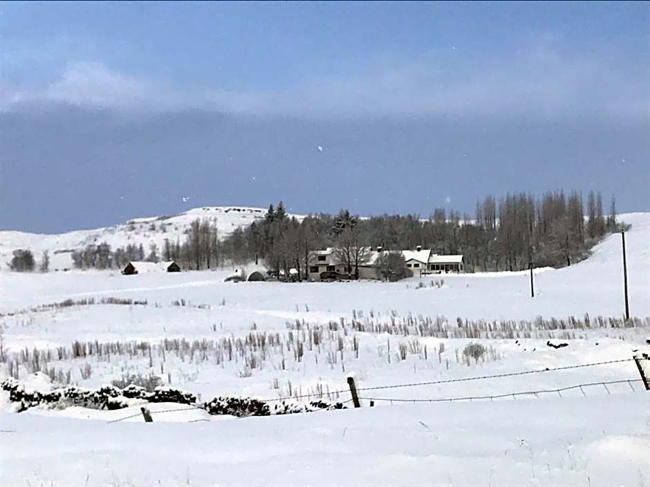Dalshöfdi Guesthouse