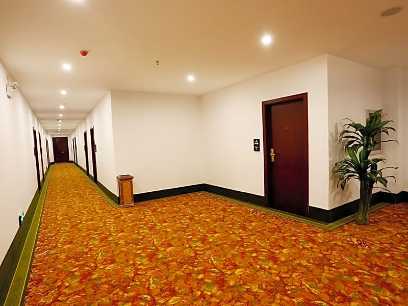 GreenTree Inn Shangrao Yushan Country  Boshi Avenue Business Hotel