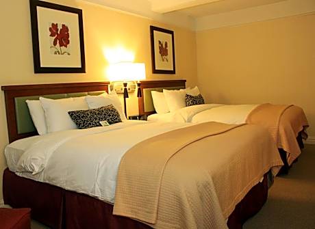 Deluxe Room with Two Queen Beds