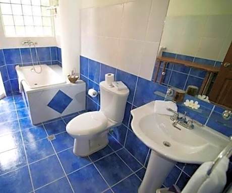 One-Bedroom Villa