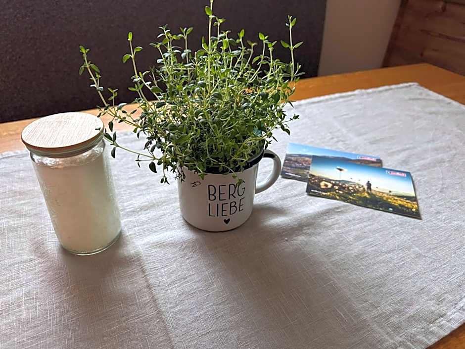 Boutique Apartment BERGLIEBE, ski in-out