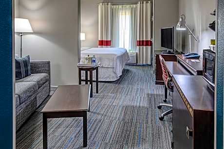 Studio with King Bed and Sofa Bed